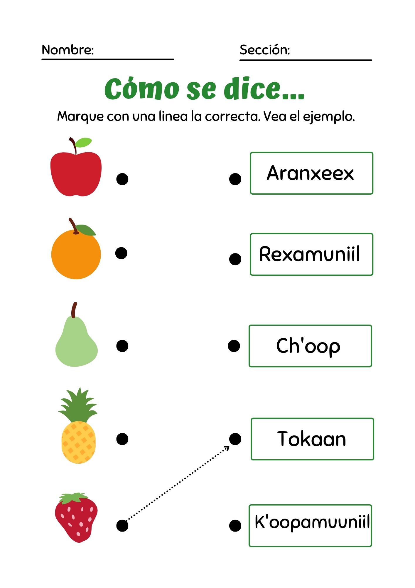 Producto 5