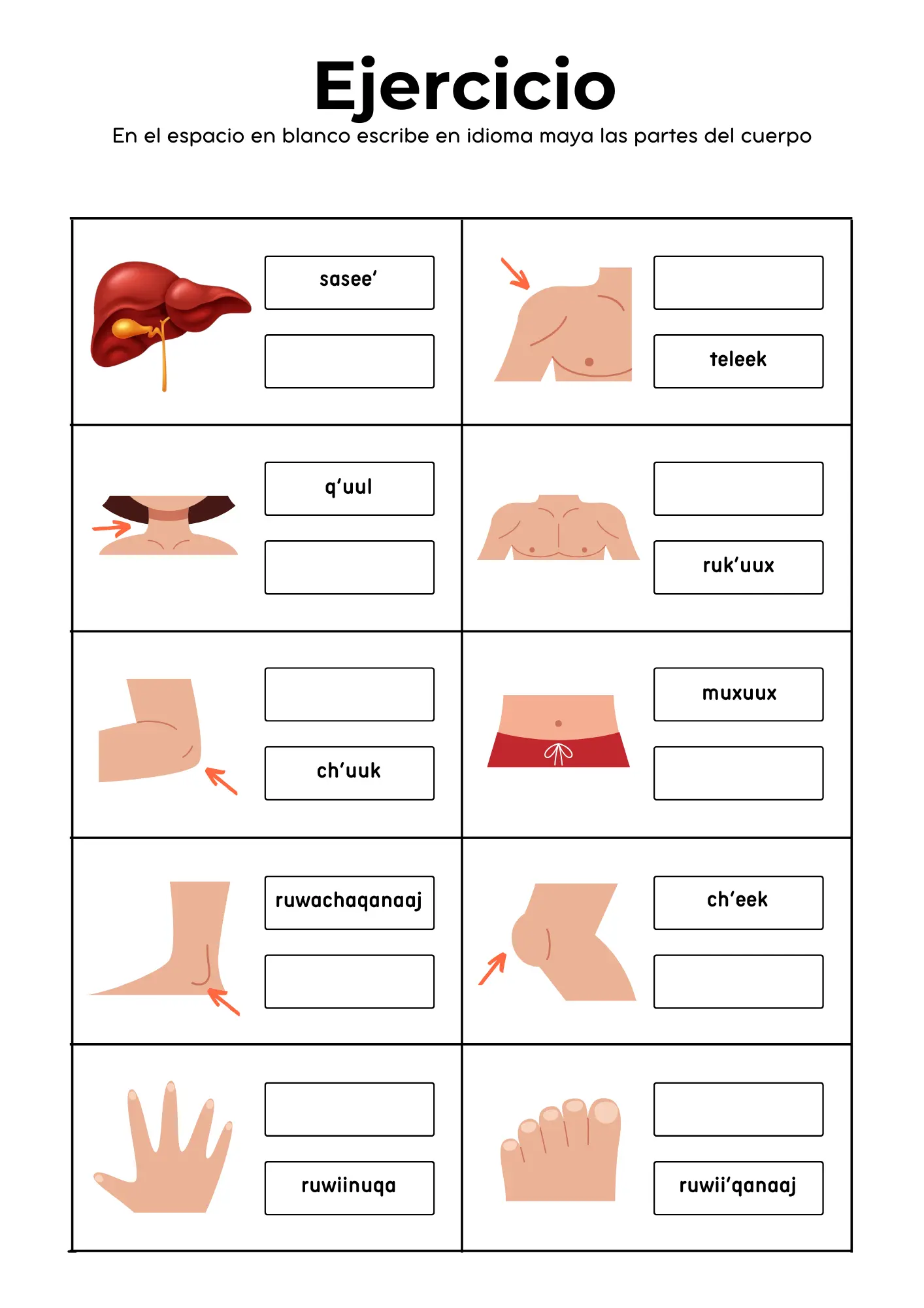 Material didáctico Tz'utujil