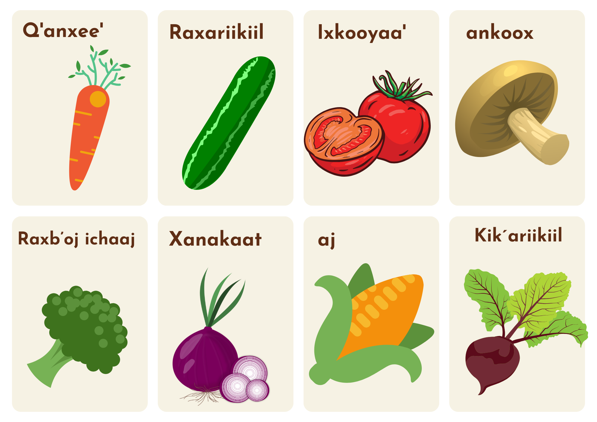 Vocabulario